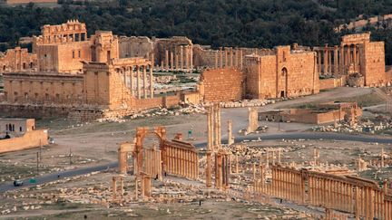 La ville antique de Palmyre, dans le d&eacute;sert syrien, le 13 octobre 2009. (MAXPPP)