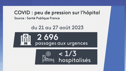 Covid-19 : le nouveau variant pose question (France 3)