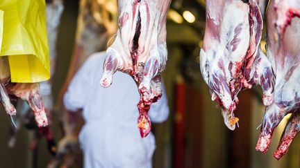 Un abattoir en Belgique, le 12 septembre 2016. (JAMES ARTHUR GEKIERE / BELGA MAG)