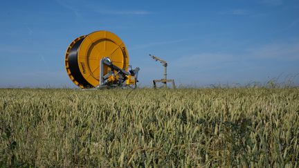 Un système d'irrigation dans un champ en Vendée, le 12 juin 2023. (MATHIEU THOMASSET / HANS LUCAS / AFP)