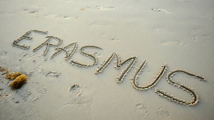 &nbsp; (Erasmus © Fotolia)