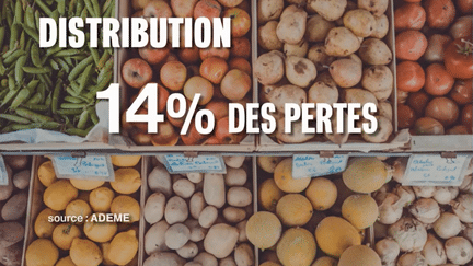 Consommation : les initiatives contre le gaspillage alimentaire