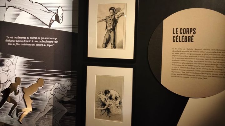 Dans l'exposition "A corps perdus" au musée d'Angoulême, janvier 2023 (LAETITIA DE GERMON / FRANCEINFO / RADIO FRANCE)