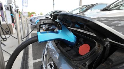 La France a franchi le cap des 100 000 bornes électriques installées sur le territoire. (FRED HASLIN / MAXPPP)