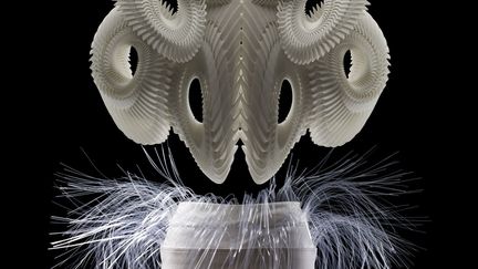 Iris van Herpen, créatrice néerlandaise (Wamel, 1984), s’impose aujourd’hui avec force dans le monde de la haute couture. Dans le sillage des Martin Margiela, Hussein Chalayan et Rei Kawakubo, ses robes sculpturales et innovantes participent à la vitalité d’une mode conceptuelle qui interroge le processus créatif, l’interaction entre le vêtement et l’individu qui le porte.
 (Bart Oomes, N°6 Studios)