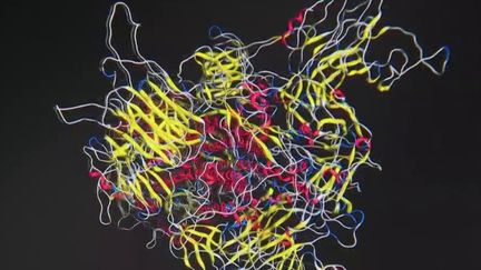 Sida : avec les vaccins contre le Covid-19 revient l'espoir d’un sérum contre le VIH (FRANCE 2)