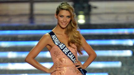 Camille Cerf, Miss Nord-Pas-de-Calais, a &eacute;t&eacute; sacr&eacute;e Miss France 2015, le 6 d&eacute;cembre 2014 &agrave; Orl&eacute;ans. (GUILLAUME SOUVANT / AFP)