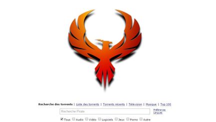 Le nouveau logo de The Pirate Bay apr&egrave;s sa remise en ligne, samedi 31 janvier 2015. (THE PIRATE BAY)