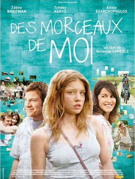 L'affiche du film "Des morceaux de moi"
 (DR / Gaumont)