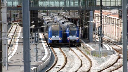 Des TER stationnent en gare, le 1er septembre 2014. (MAXPPP)