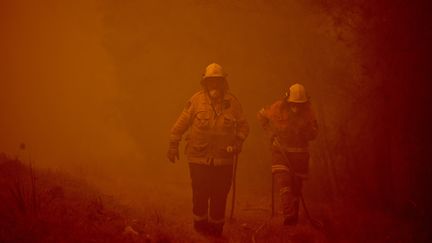 Des pompiers dans la ville de Moruya,&nbsp;dans l'Etat de&nbsp;Nouvelle-Galles du Sud (sud-est de l'Australie), le 4 janvier 2020.&nbsp; (PETER PARKS / AFP)