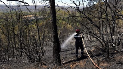 Incendie dans le Var : 560 hectares brûlés