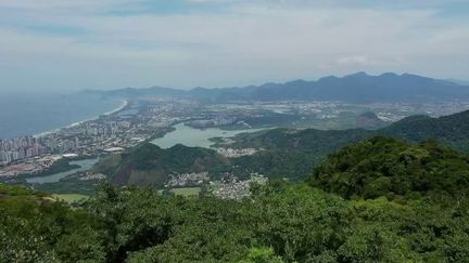 Brésil : le poumon vert de Rio