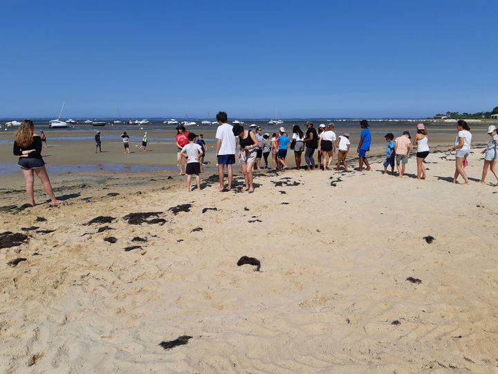 Une colonie de vacances&nbsp;au bassin d'Arcachon.&nbsp; (SARAH TUCHSCHERER / RADIO FRANCE)