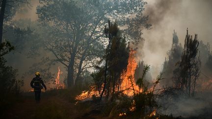 Un pompier lutte contre les flammes à Landiras (Gironde), le 18 juillet 2022. (PHILIPPE LOPEZ / AFP)