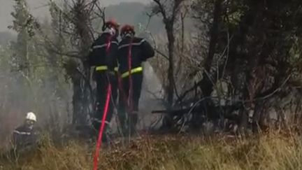 Incendie dans le Gard : 500 hectares parcourus, 190 personnes évacuées