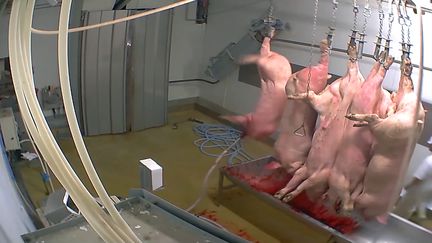 Abattoirs : des inspections insuffisantes ?