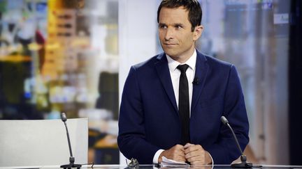 L'ex-ministre de l'Education nationale Beno&icirc;t Hamon, le 25 ao&ucirc;t 2014 sur France 2. (BERTRAND GUAY / AFP)