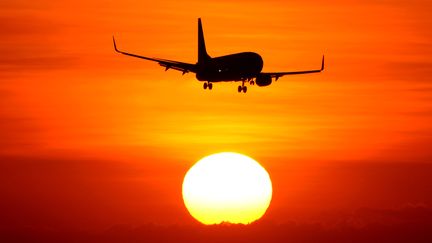 L'enfant de 12 ans a pu prendre l'avion en l'absence de ses parents. (SONNY TUMBELAKA / AFP)