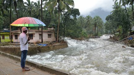 Un villageois indien observe la rivière&nbsp;Kannappanakundu&nbsp;déborder de son lit dans l'Etat du Kerala en Inde, le 18 août 2018.&nbsp; (MANJUNATH KIRAN / AFP)