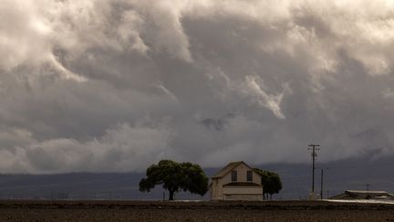 Un nuage en pleine tempête dans le ciel de Chualar, en Californie (Etats-Unis), le 14 janvier 2023. (DAVID MCNEW / AFP)