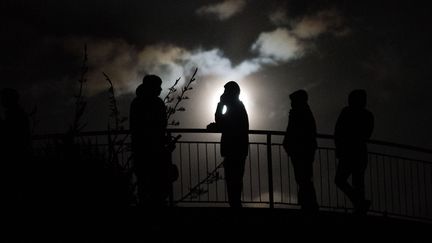 Des habitants de Wellington sont montés en haut du mont Victoria (Nouvelle-Zélande), dans la nuit de dimanche à lundi 14 novembre 2016. (MARTY MELVILLE / AFP)