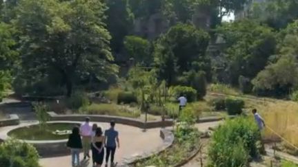 La série du week-end du 13 Heures vous emmène à la découverte d'un véritable musée de verdure à ciel ouvert, à Montpellier (Hérault). (FRANCE 2)