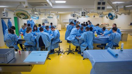 Des étudiants en médecine&nbsp;de l’Université de Poitiers, le 4 février 2016. (GUILLAUME SOUVANT / AFP)