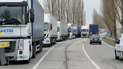 Des camions bloqués pendant une manifestation des "gilets jaunes" dans le Haut-Rhin, le 19 novembre 2018. (THIERRY GACHON / MAXPPP)