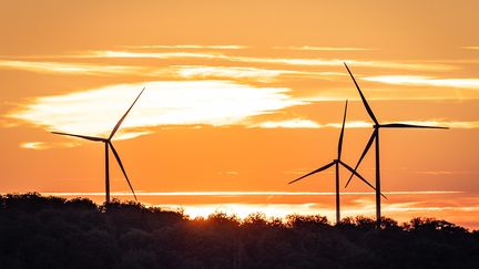 Le parc éolien des Trois Cantons dans le région de Montbéliard en Bourgogne-Franche-Comté (LIONEL VADAM / MAXPPP)