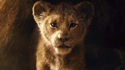 Le film "Le Roi Lion", remake du célèbre dessin-animé, sortira en salles en juillet 2019. (DISNEY)