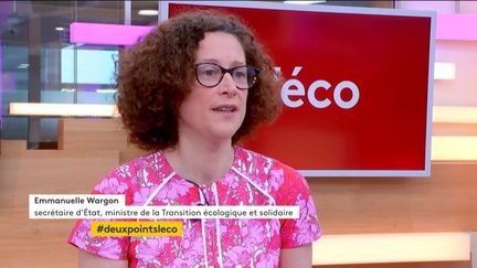 : L'éco Emmanuelle Wargon, Secrétaire d'Etat, ministre de la Transition écologique et solidaire