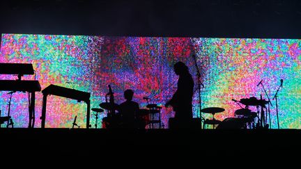 Les&nbsp;guitares de Tame Impala ne résonnent pas encore dans le parc de Rock en Seine. Pour ouvrir les festivités,&nbsp;un&nbsp;message vidéo d’une jeune femme au look aseptisé défile dans le fond de la scène pour annoncer&nbsp;aux&nbsp;festivaliers qu'ils sont sur le point d'expérimenter un "nouveau traitement".&nbsp;Peu à peu, le visage de l’hôte se déforme, son discours ralentit.&nbsp;"C’est quoi ce délire, on dirait un&nbsp;bad&nbsp;trip", entend-on dans l’assemblée. (NISRINE MANAI)