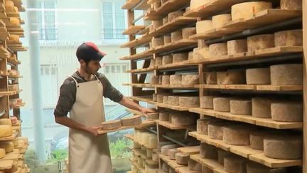 Agriculture : une laiterie artisanale en plein Paris