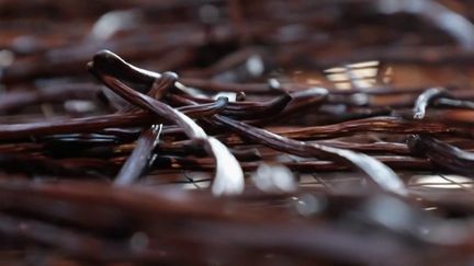 Nombreux sont ceux qui raffolent du goût sucré de la vanille. Mais où et comment pousse cette plante dont la demande ne cesse d'augmenter partout dans le monde ? (France 2)