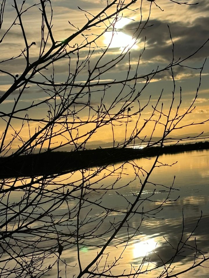 In Richmond, near Vancouver.  The Frenchwoman may be a few years away from retirement, but she explains that when she arrived in Canada, she prepared to start from scratch.  (Photo Anne Chanéac)