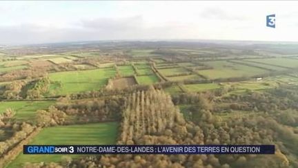 Les terres agricoles de la ZAD sont au coeur d'un enjeu majeur. (FRANCE 3)