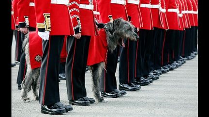 Thème « British Moments »: le Londres rouge, bleu et blanc, les cérémonies royales, la relève de la garde flamboyante.
 (David Bebber)