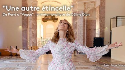 Céline Dion pose avant le défilé Giambattista Valli, le 3 juillet 2017, lors de la Fashion Week de Paris.&nbsp; (FOOTWEAR NEWS / SHUTTERST / SIPA)