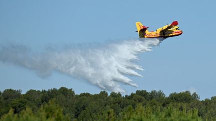 Un Canadair déverse de l'eau sur un massif forestier des Bouches-du-Rhône, lors d'un exercice, le 8 juin 2023. (NICOLAS TUCAT / AFP)