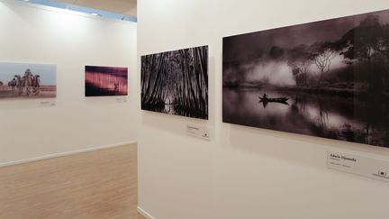 Hamdan International Photography Award. 2013
 (Art Dubai)