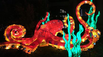 Pieuvre illuminée au Jardin des Plantes, à Paris. (INGRID POHU / RADIO FRANCE)