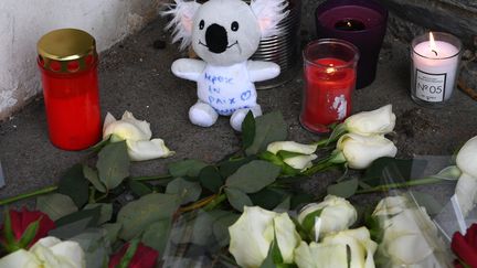 Des fleurs, des bougies et une peluche déposées près du lieu où le corps de la petite Vanille a été retrouvée, à Angers (Maine-et-Loire), le 12 février 2020. (JOSSELIN CLAIR / MAXPPP)