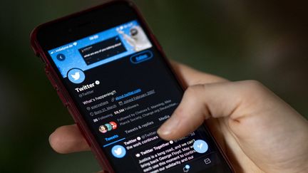 Un utilisateur consulte Twitter sur son téléphone, à Berlin, le 24 avril 2021. (FABIAN SOMMER / DPA / AFP)