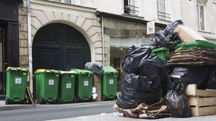 Des poubelles amoncelées dans une rue de Paris, le 8 juin 2016. (GEOFFROY VAN DER HASSELT / AFP)