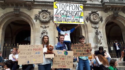 Manifestation pour le climat vendredi 24 mai 2019 à Paris. (Benjamin Mathieu)