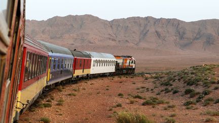 Construite par les colons français et rendue célèbre par le dernier James Bond, cette ligne de chemin de fer, qui traverse le désert au Maroc, revit grâce à un amoureux des trains et du pays. C'est grâce à la persévérance d'Edouard Kunz, un Suisse de 70 ans connu sous le nom d'Edi, que des touristes peuvent aujourd'hui emprunter la voie de «l'Oriental Desert Express». A chaque départ, posté à l'arrière du dernier wagon, Edi Kunz regarde avec émotion s'éloigner la gare d'Oujda: «Yalla!» (allons-y !), lance-t-il. Derrière lui, sur une vieille carte des chemins de fer, la ligne Oujda-Bouarfa perdue dans le désert, flirtant avec la frontière algérienne. Aujourd'hui quasi inutilisée, elle était pourtant le point de départ d'un projet ambitieux: la ligne de la Société Mer-Niger devait relier, à travers le Sahara, la Méditerranée et l'Afrique noire. Un projet qui n'a jamais abouti. La ligne traverse des paysages extraordinaires. Raison pour laquelle les producteurs de James Bond l'ont choisie pour le tournage d'une scène de «Spectre». Daniel Craig y invite Léa Seydoux dans un romantique wagon restaurant. (Frédérique PRABONNAUD / AFP)