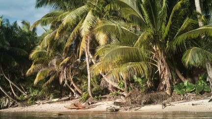 Meurtres de deux Français à Madagascar : quatre suspects en garde à vue