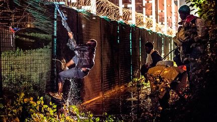 Fin juillet 2015, 2.000 migrants qui voulaient passer en Angleterre tentent de pénétrer dans le tunnel sous la Manche. A cette date, Eurotunnel dit avoir intercepté 37.000 migrants depuis le début de l’année. Neuf y ont trouvé la mort. Le photographe couvre le phénomène des migrants à Calais depuis plus de quinze ans. (AFP / PHILIPPE HUGUEN)