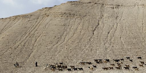 En Cisjordanie, près de Jéricho (14-11-2012). (Reuters - Ammar Awad)